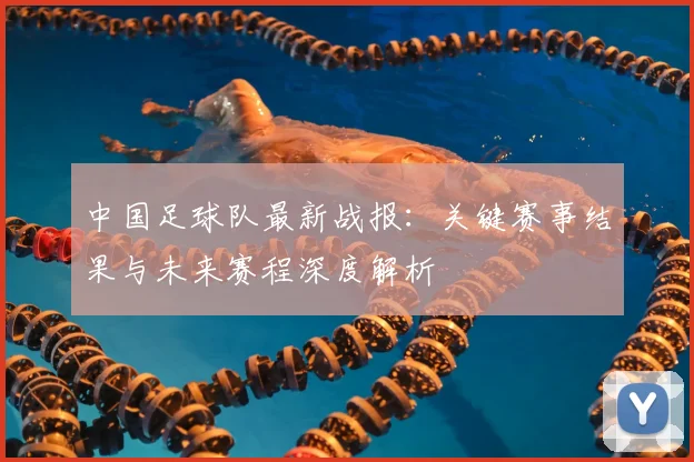 中国足球队最新战报:关键赛事结果与未来赛程深度解析